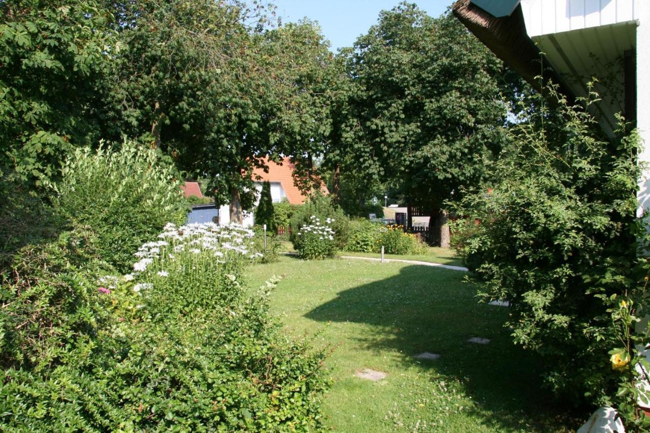 Strandstuebchen Apartment Zingst Bagian luar foto